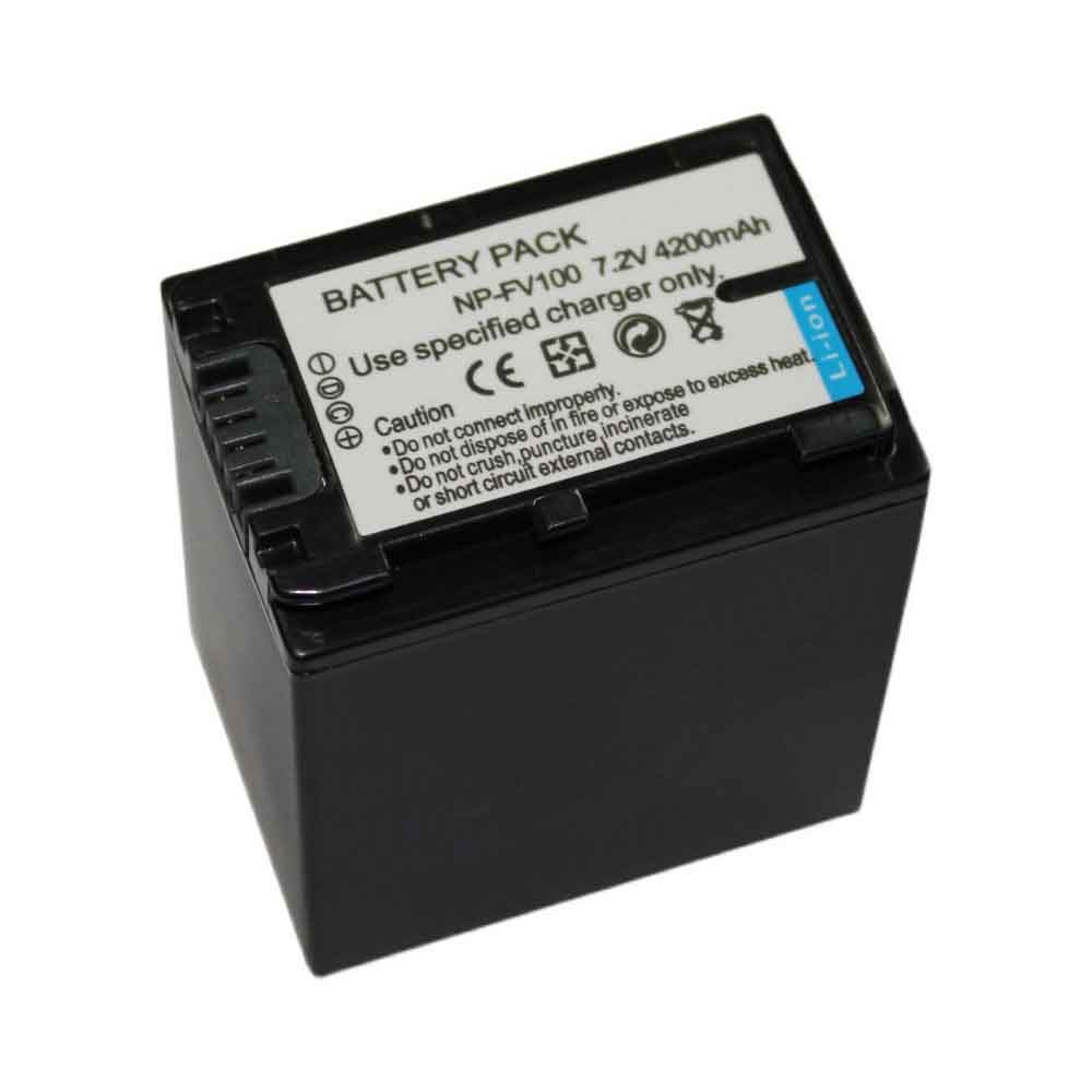 NP-FV100  bateria